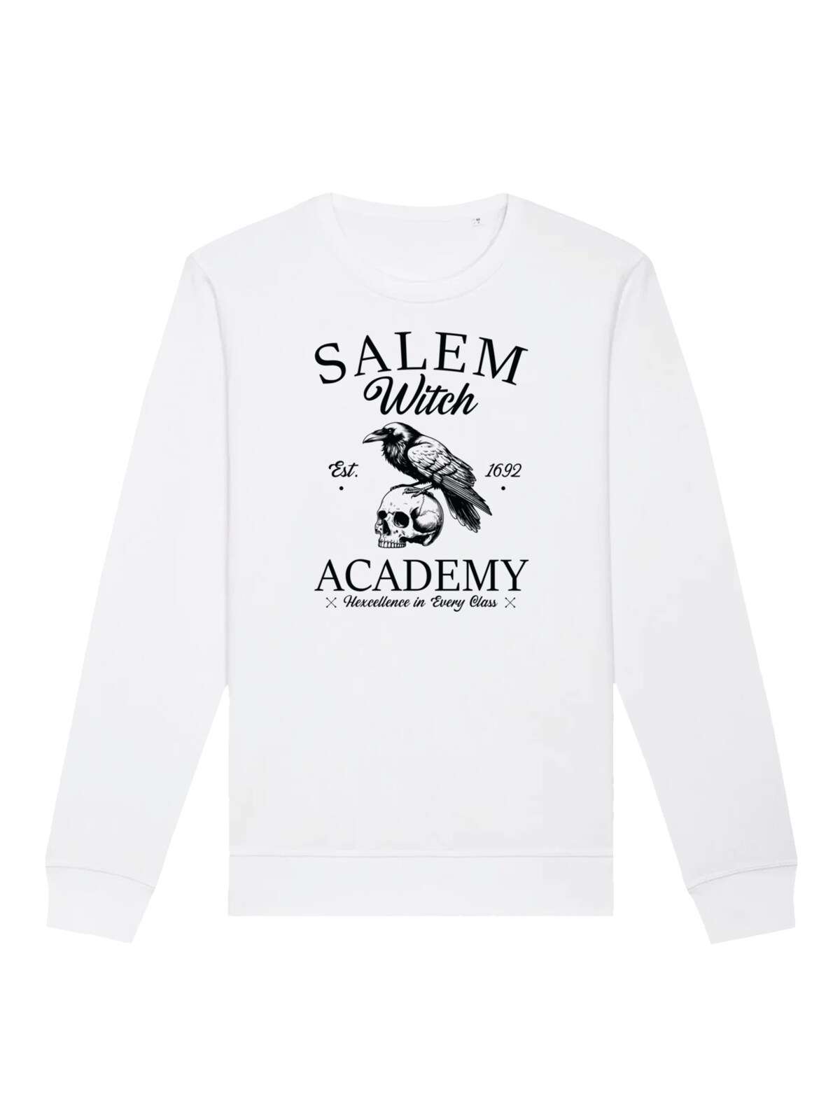 Свитшот Halloween University Salem witch crow skull