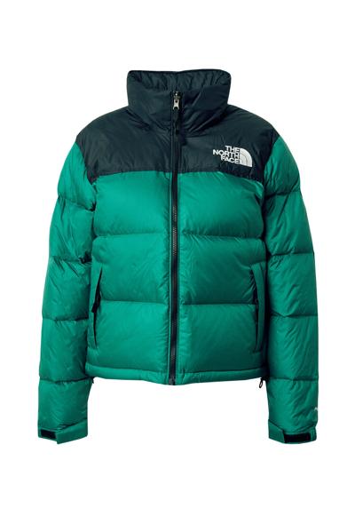 Куртка 1996 Retro Nuptse