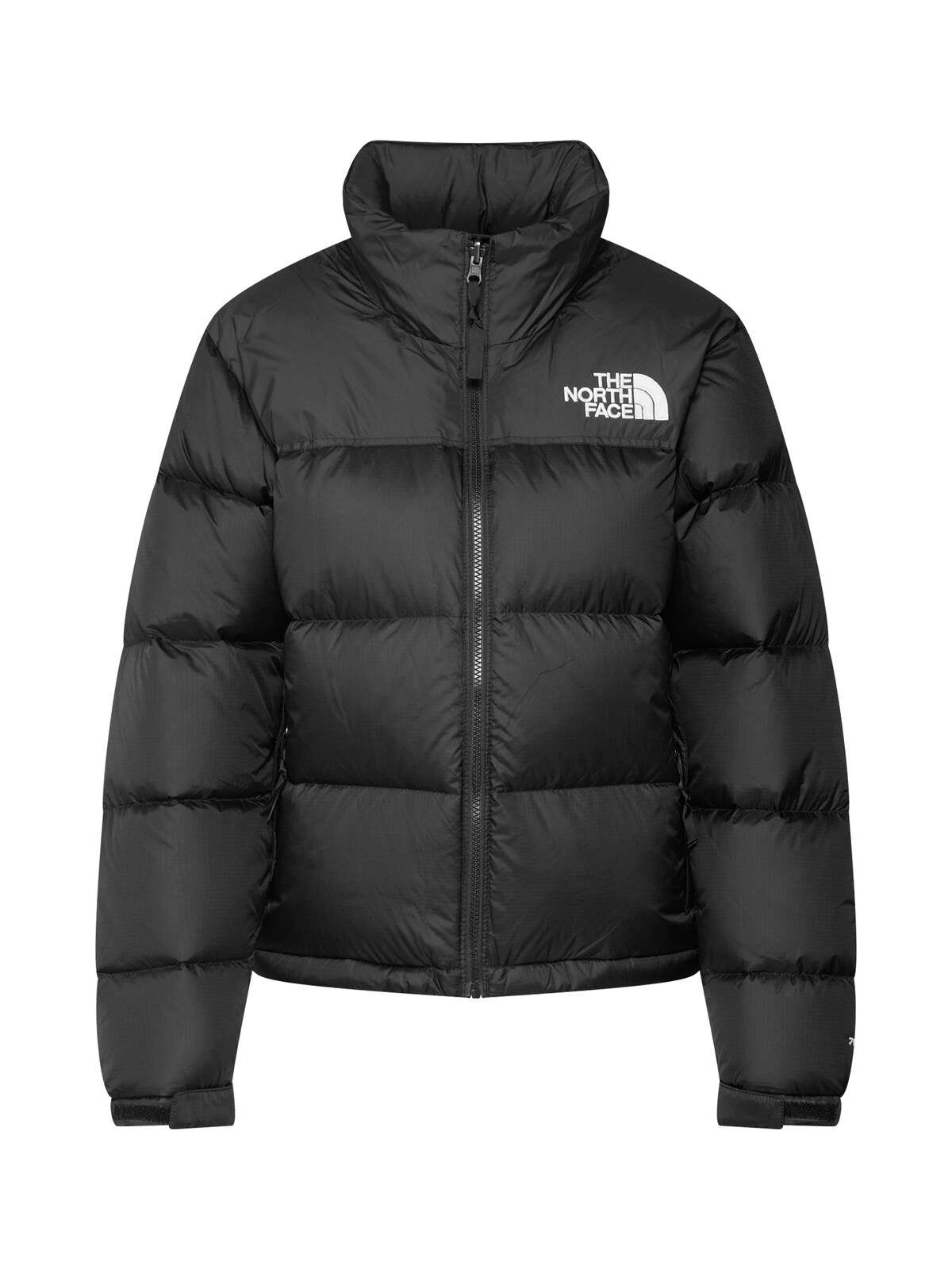 Куртка 1996 Retro Nuptse