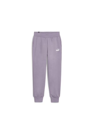 Тренировочные брюки»ESS SWEATPANTS FL CL (S)«